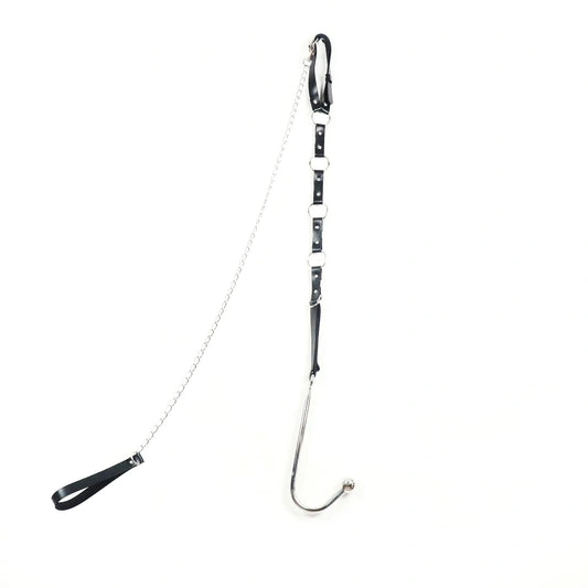 Anal Hooks EverydayUse Collar with Kinky 5853 Anal and Hook Leash 0926